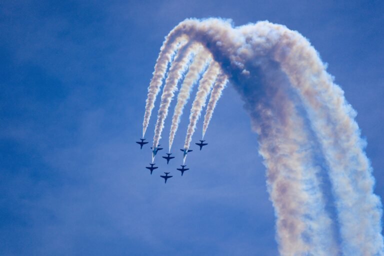 Toronto Airshow Weekend: Noise, Pets and Resident Preparation