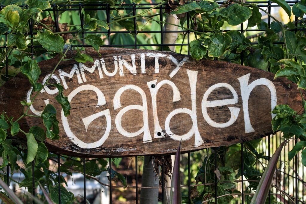 Toronto Community Garden Waitlists
