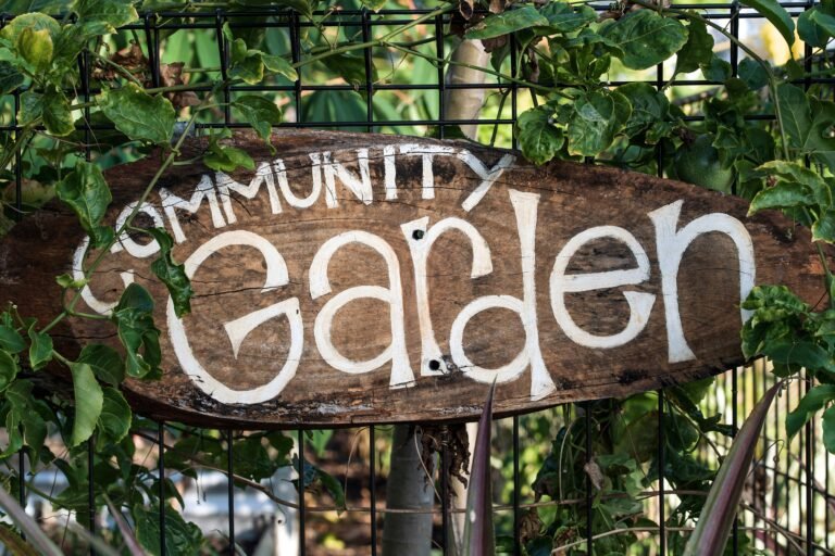 Toronto Community Garden Waitlists: Ways to Grow While You Wait