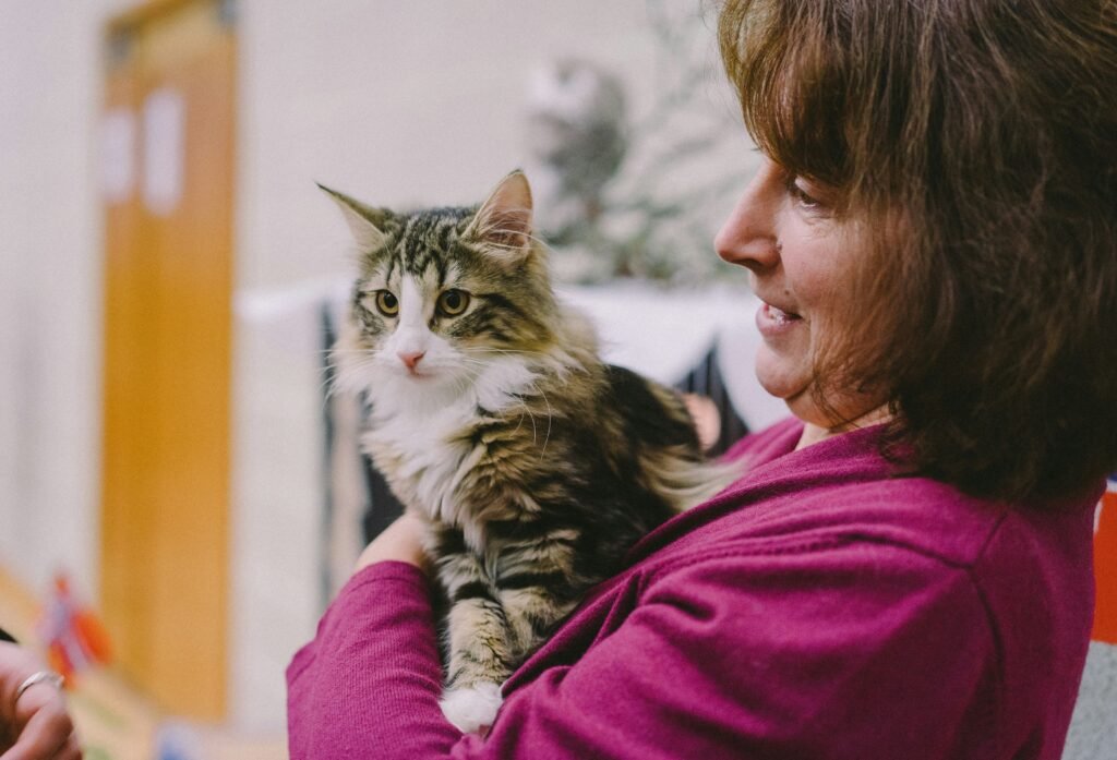 Toronto newcomer pet licensing