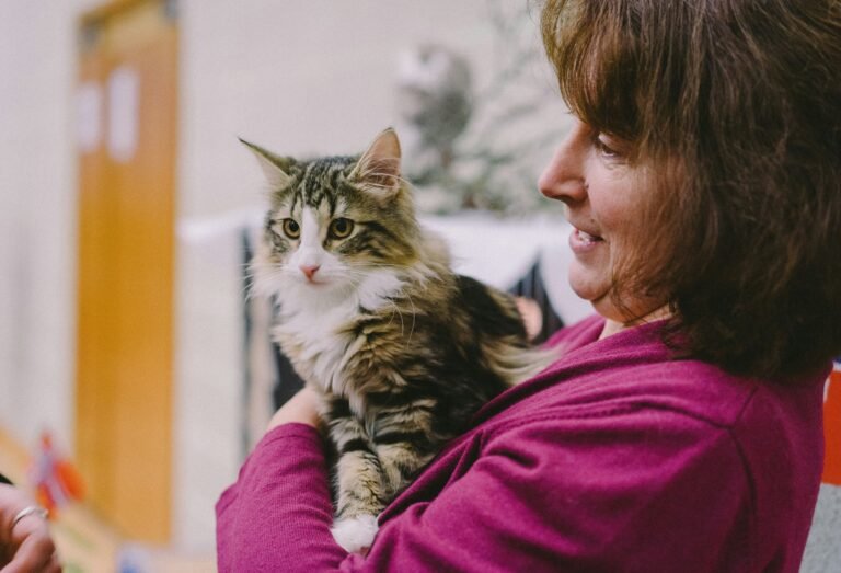 Toronto Newcomer Pet Licensing: Essential Arrival Checks